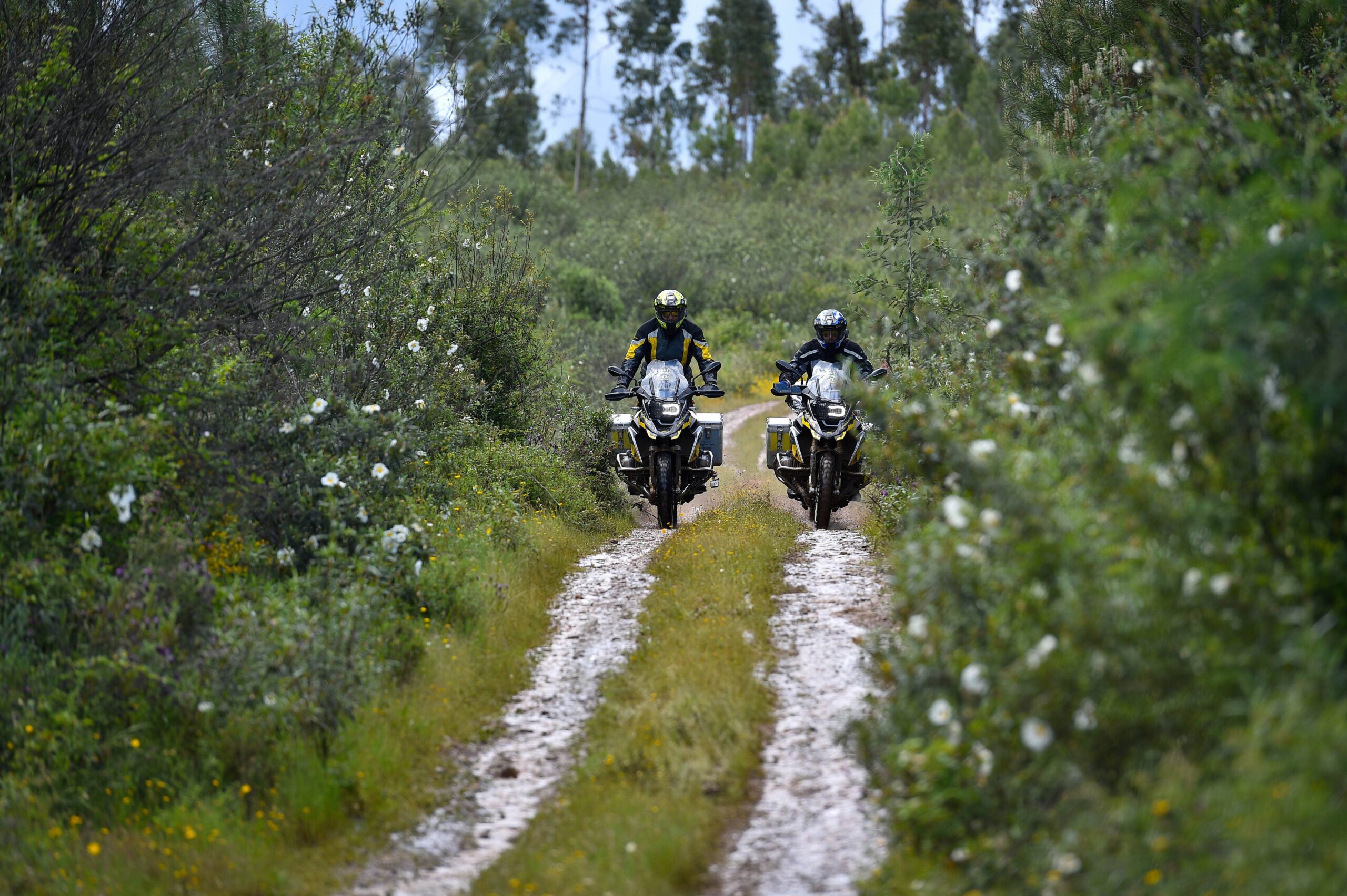 Offroad mit dem Motorrad